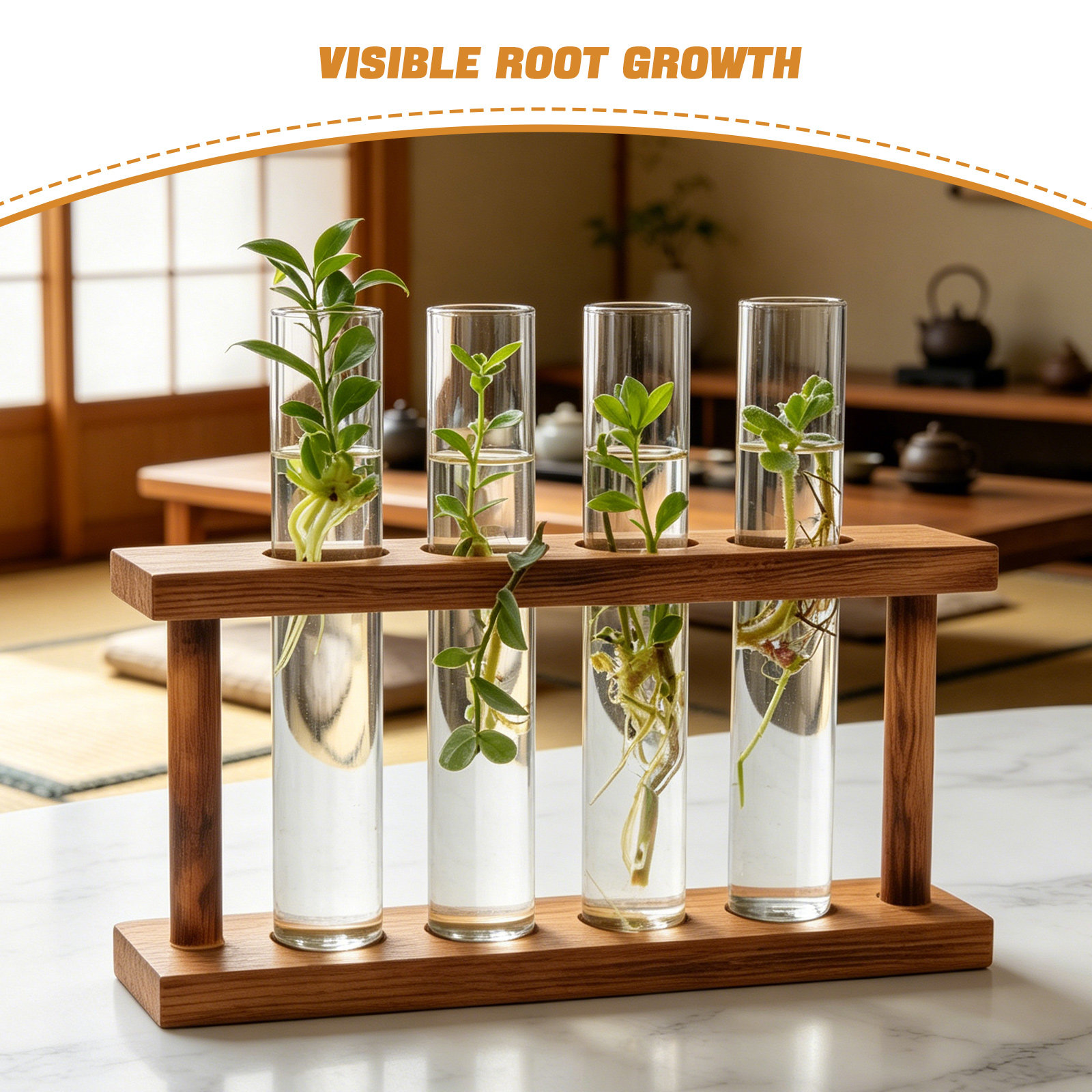 Ahşap Bitki Çoğaltma İstasyonu - Propagation Station Vase incelemesi ve fiyatı