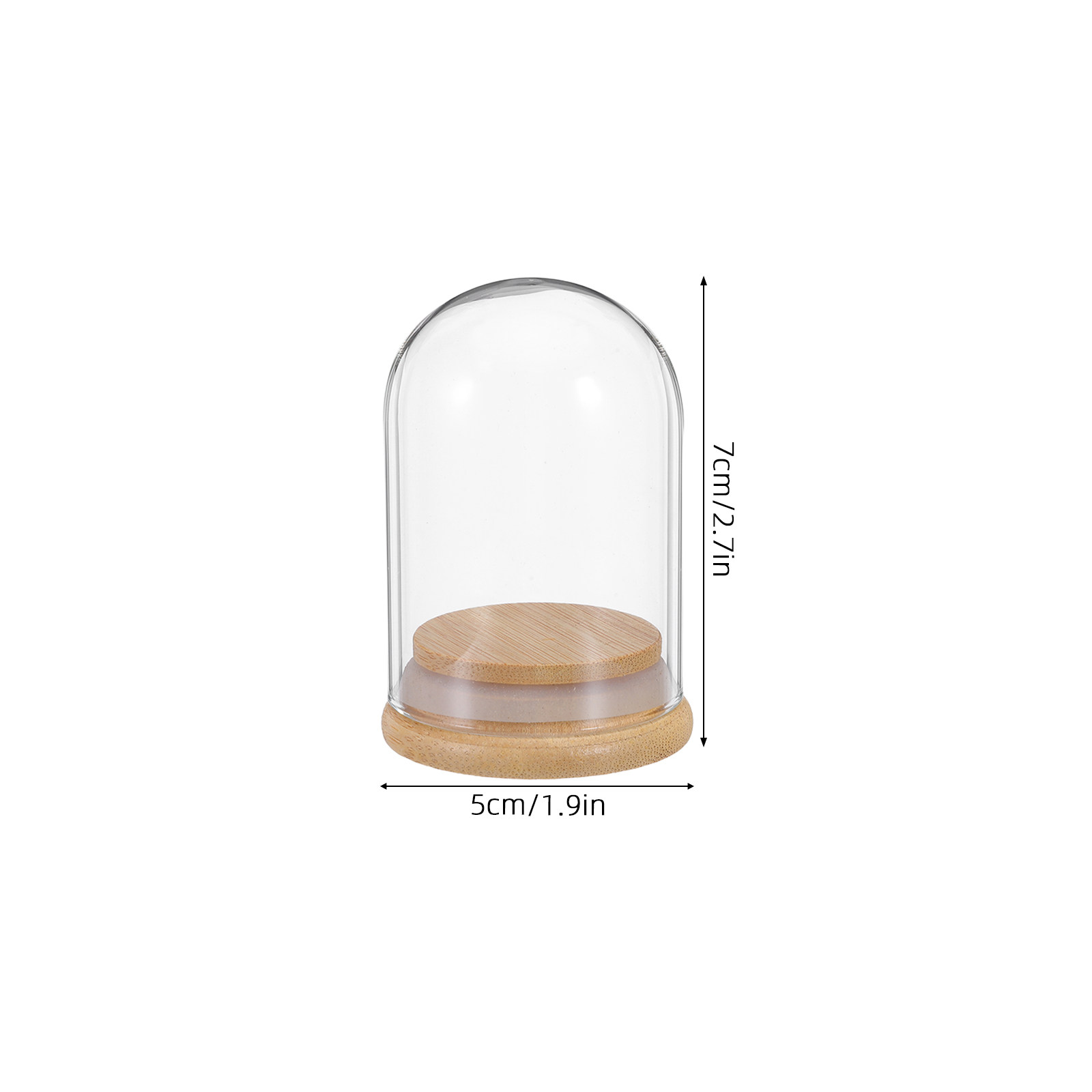 6 Adet Cam Kubbe Vitrin 2.8x2  - Plastic Dome Clear incelemesi ve fiyatı